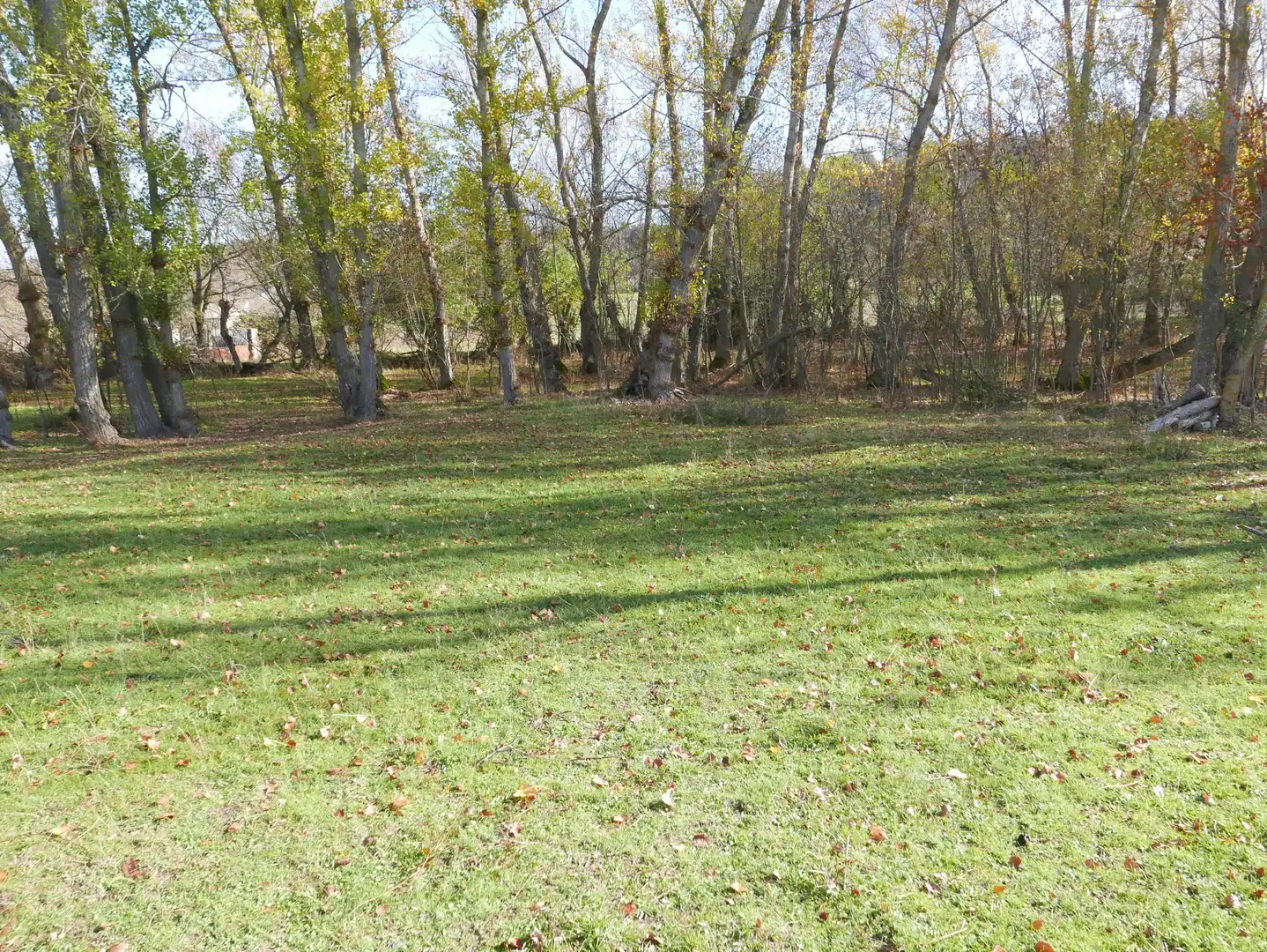 Land for sale in Santo Tomé del Puerto