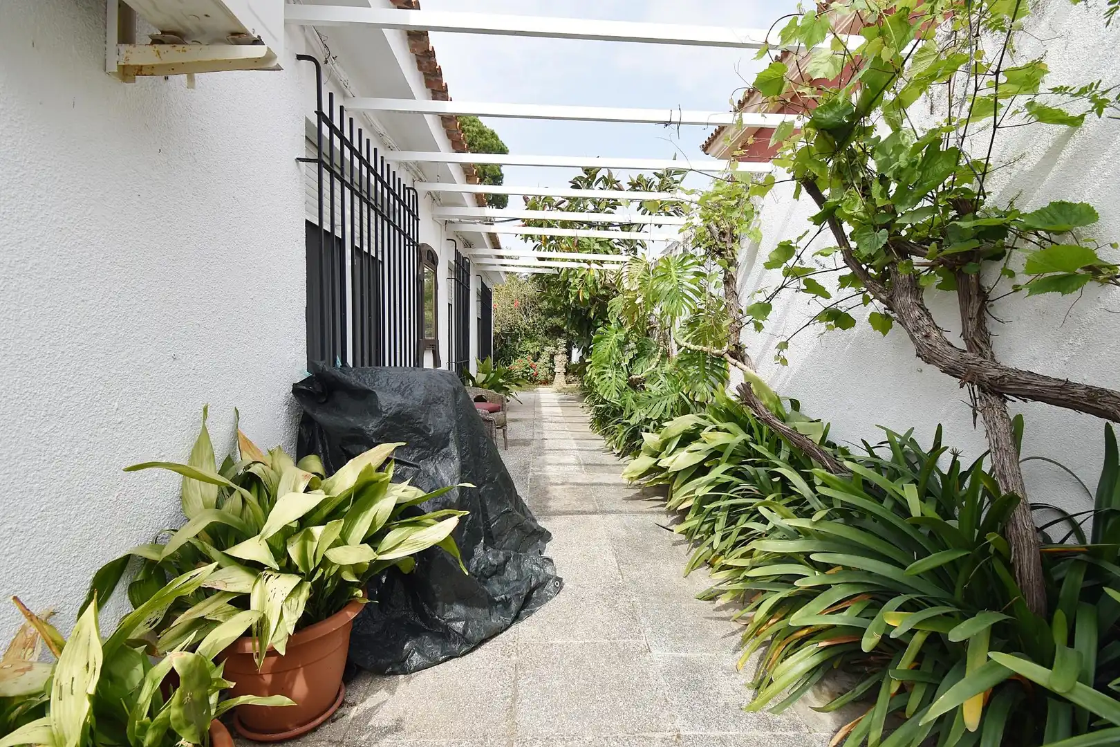 Terrassa de Casa o xalet en venda en El Puerto de Santa María amb Aire condicionat i Jardí privat