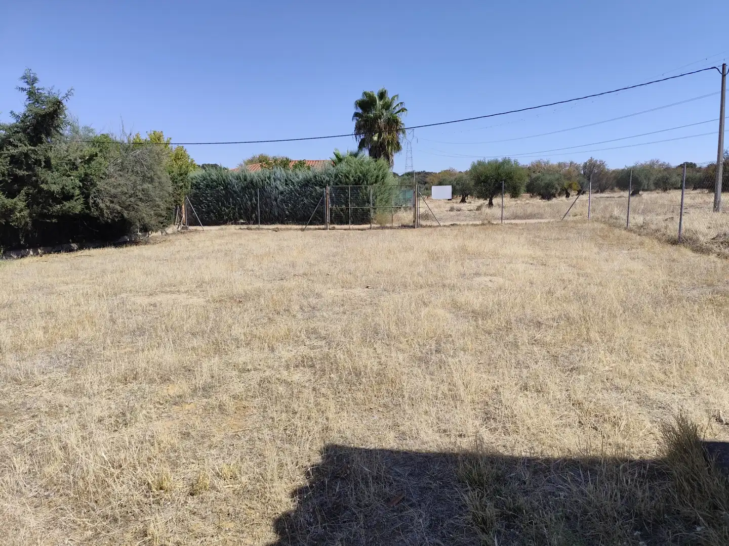 Terreno rústico en venta en Don Álvaro, imagen 4