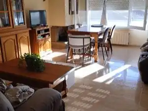 Sala d'estar de Pis en venda en Besalú amb Aire condicionat, Calefacció i Terrassa