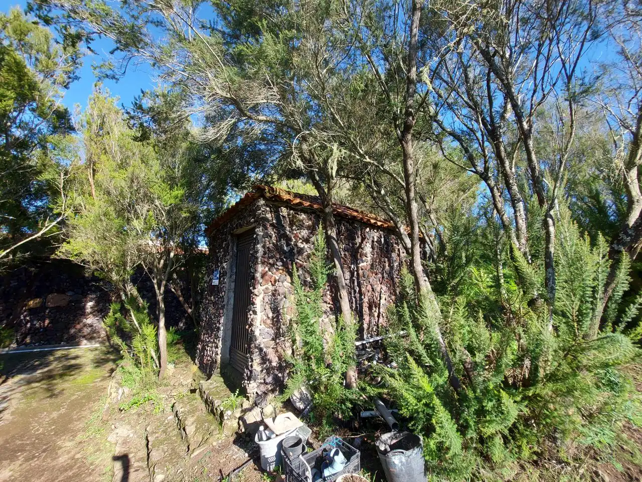 Maison avec jardin à vendre à El Tanque, imagen 10