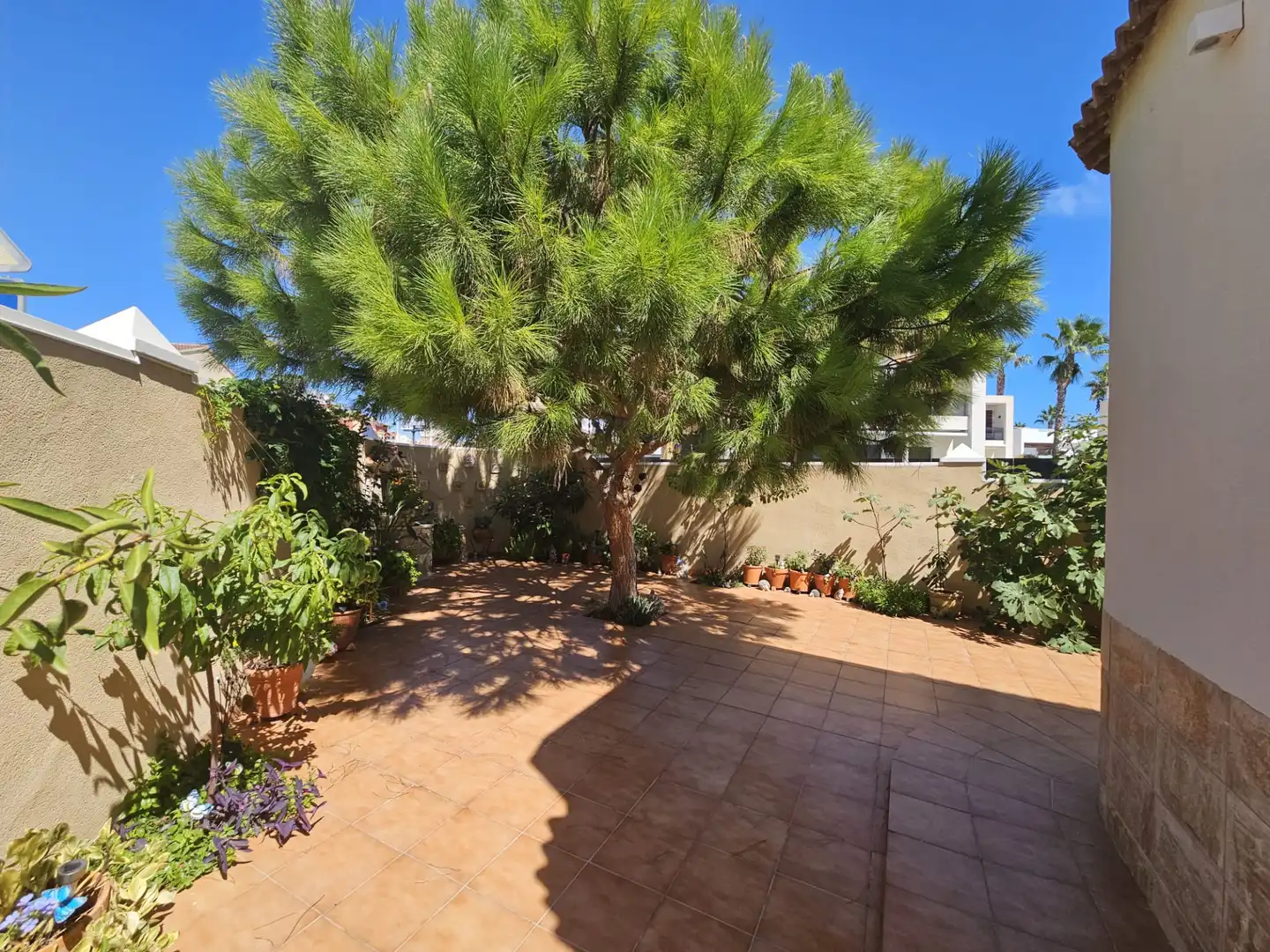 Jardín de Casa o chalet en venta en Torrevieja con Aire acondicionado, Jardín privado y Terraza