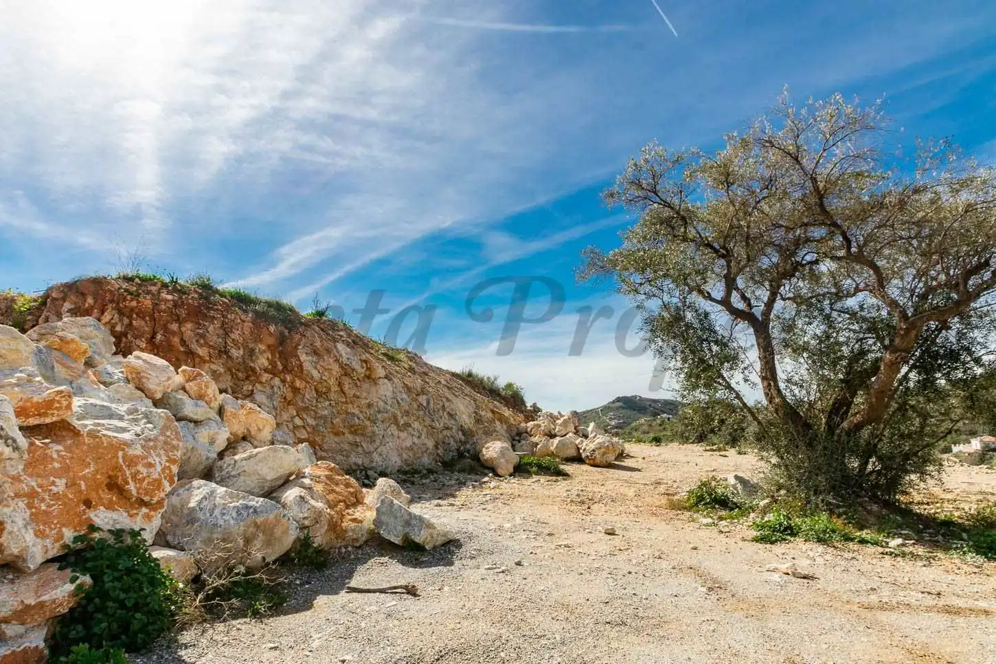 Terreny rústic en venda a Canillas de Albaida, imagen 3