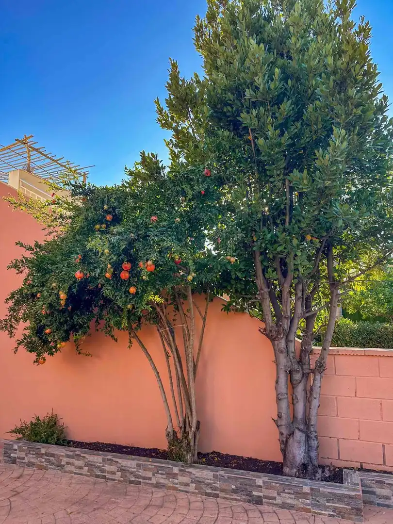 Jardín de Casa o chalet de alquiler en Pueblo Acantilado - Lanuza