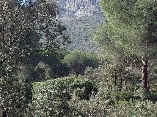 Rustikales Grundstück zum Verkauf in camino Mestanza 1, imagen 11