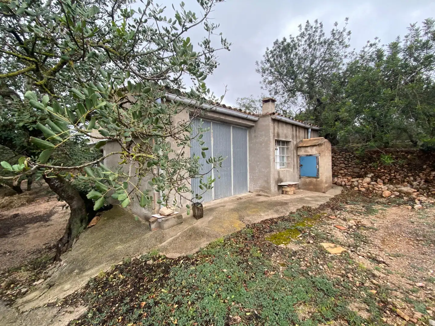 Terreno rustico in vendita a Roquetes, imagen 6