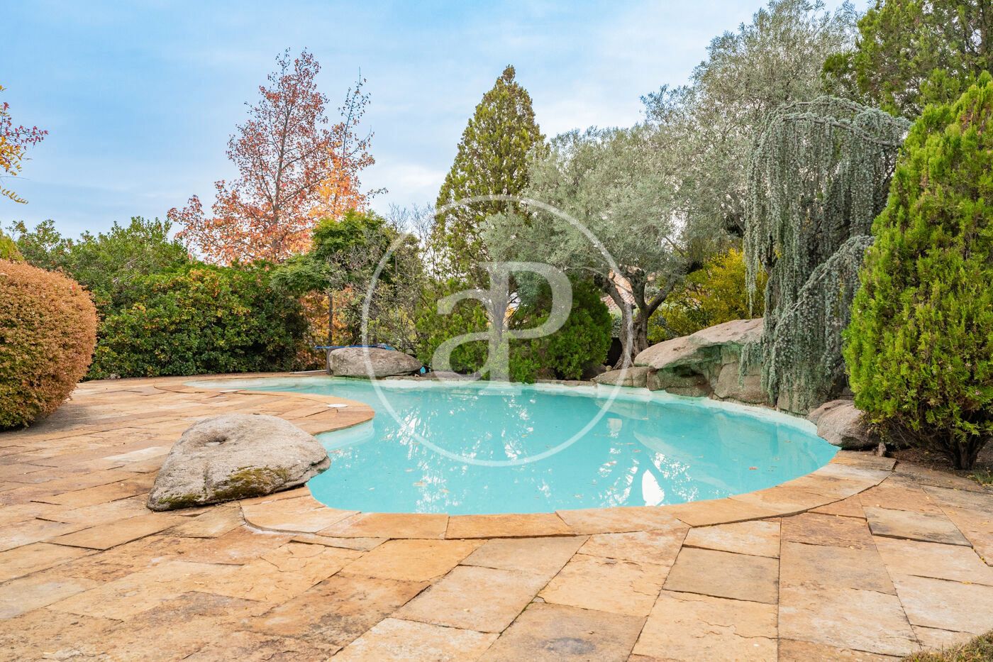Piscina de Casa o xalet en venda en Las Rozas de Madrid amb Aire condicionat, Calefacció i Jardí privat