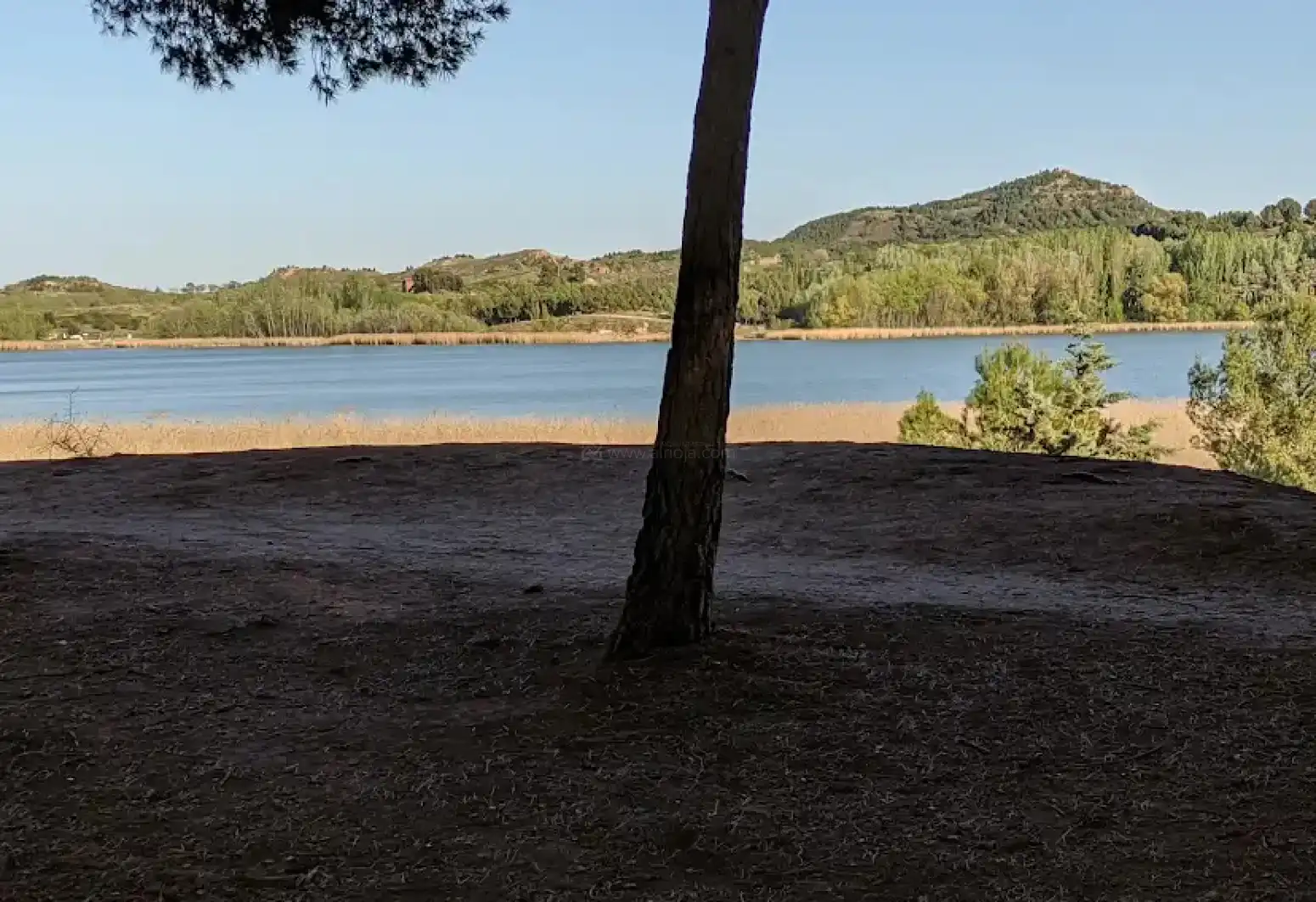 Business premises for sale in Logroño - PANTANO DE LA GRAJERA, imagen 14