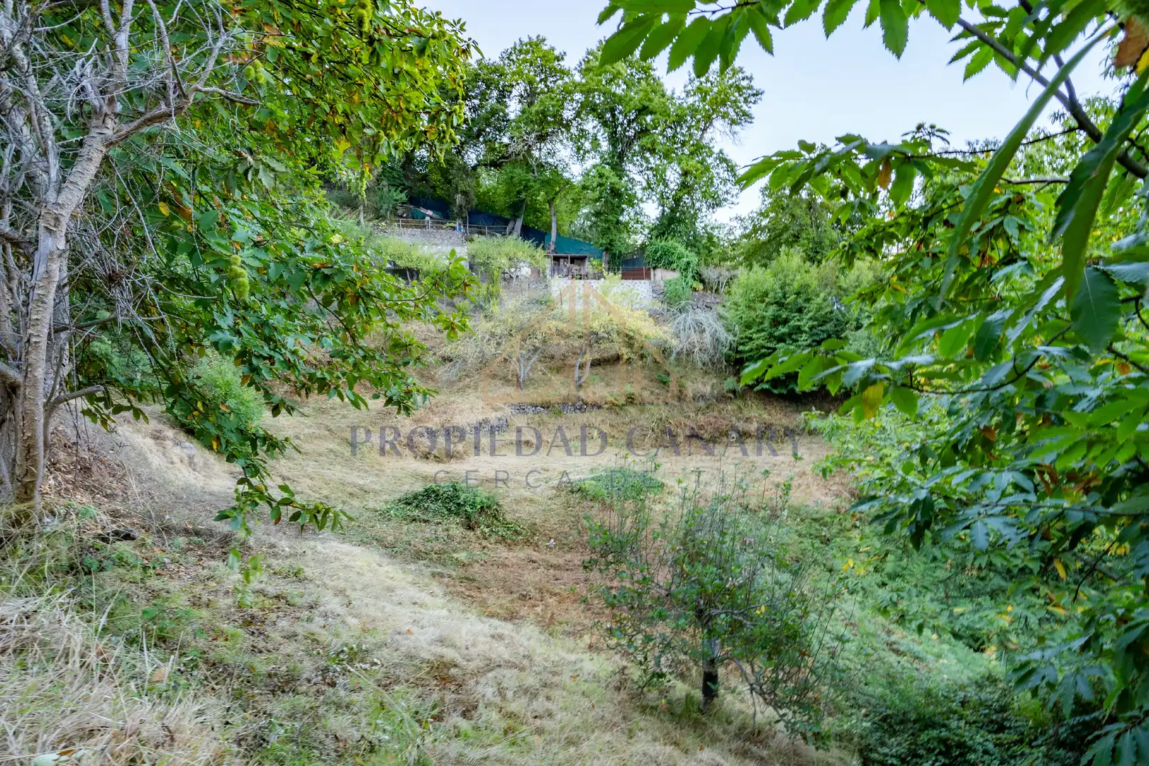 Terreno rustico in vendita a Camino la Candelaria 2A, imagen 12