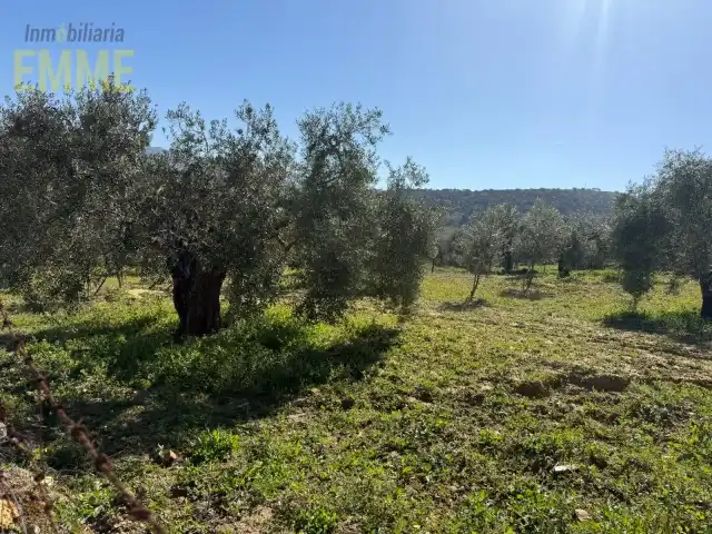 Grundstücke und Bauplätze zum Verkauf in San Rafael, imagen 4
