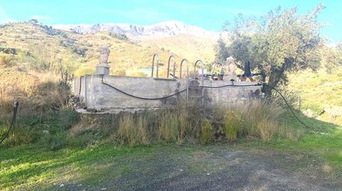 Foto 2 de Finca rústica en venda a Polígono Poligono, Sedella, Málaga