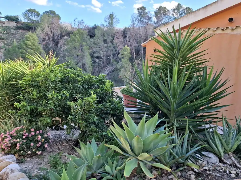 Jardín de Finca rústica en venta en Xirles