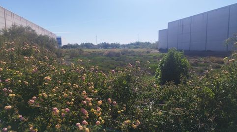 Foto 3 von Residential zum Verkauf in Calle Claudio Ptolomeo, El Juncal - Vallealto, El Puerto de Santa María