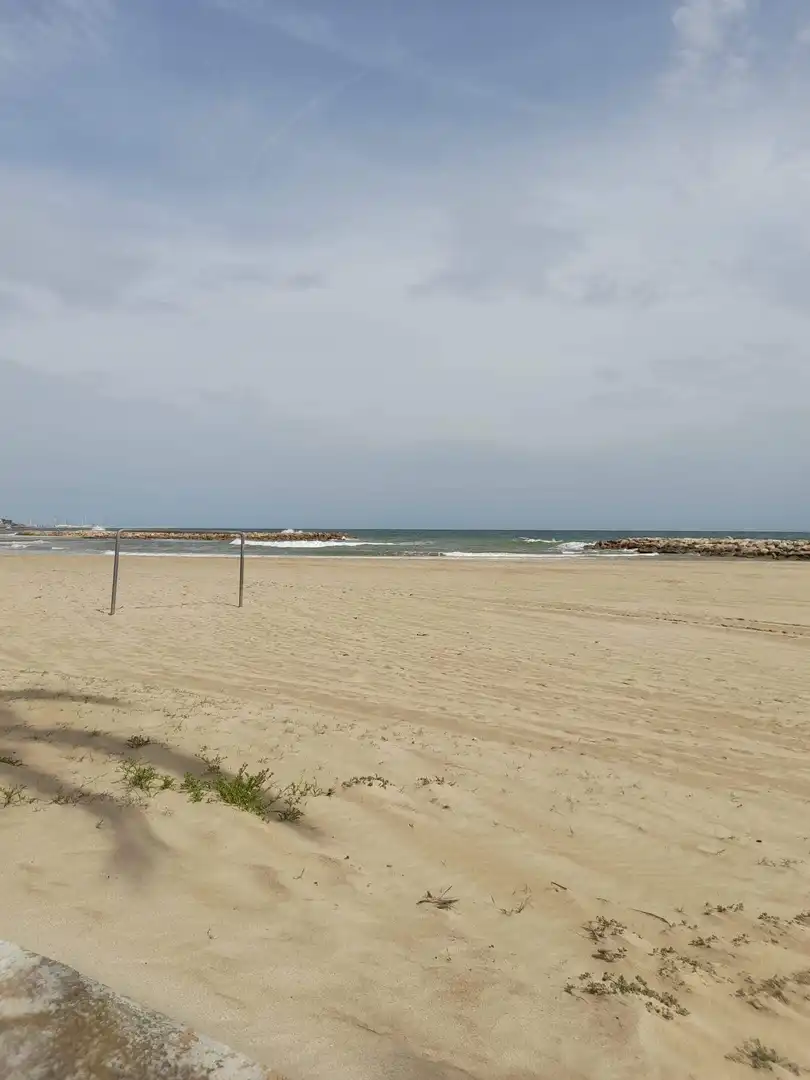 Piso con piscina en venta en Prat de Vilanova, imagen 18
