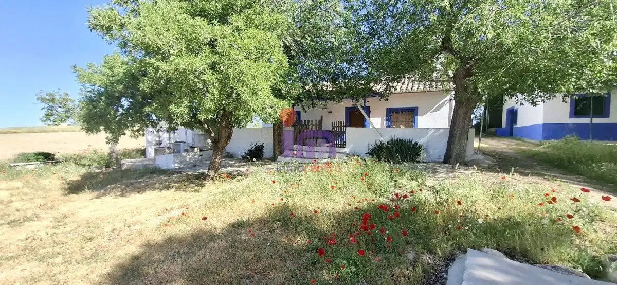 Vista exterior de Finca rústica en venda en Valdepeñas amb Calefacció