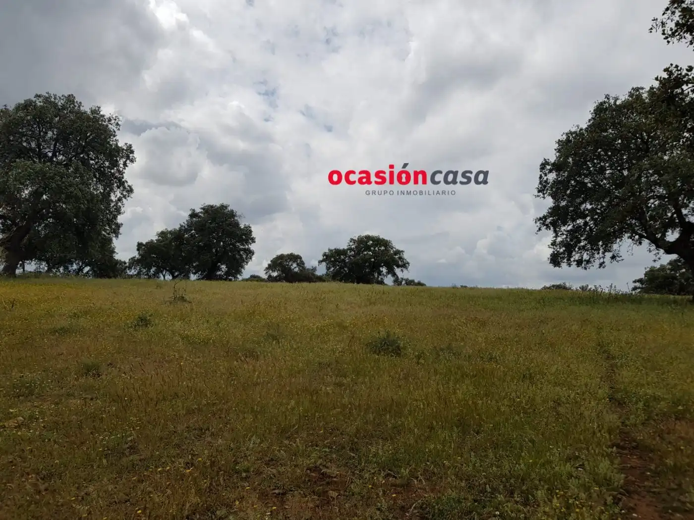 Finca rústica en venta en Torrecampo