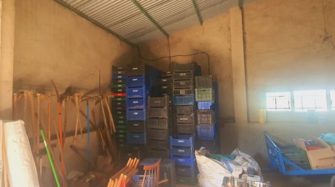 Foto 5 de Finca rústica en venta en Benifallet, Tarragona