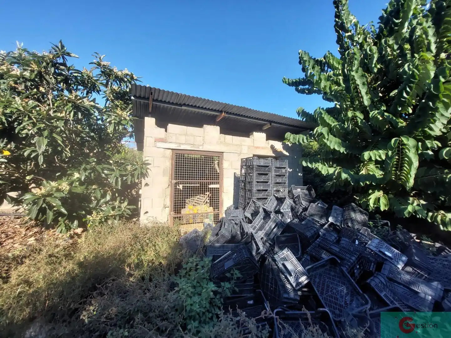 Maison rustique à vendre à Centro, imagen 20