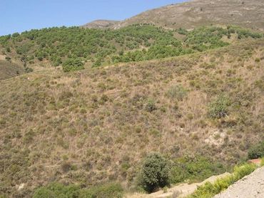 Terreno residenziale in vendita a Sedella