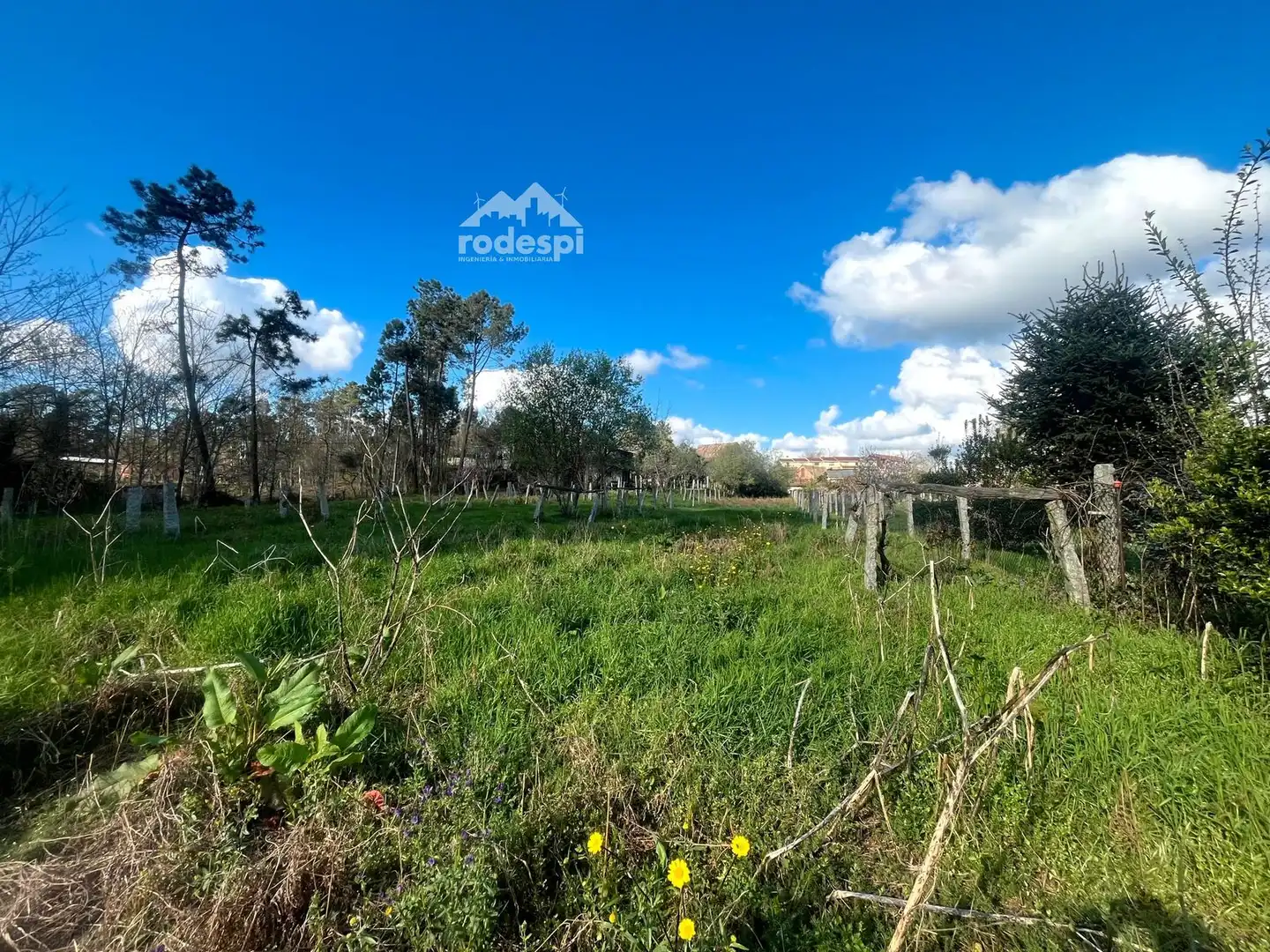 Casa en venta en Salvaterra de Miño, imagen 8