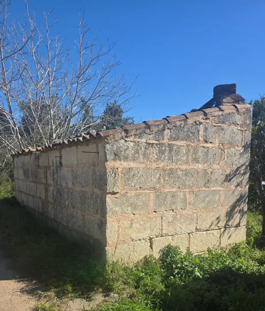 Exterior view of Land for sale in Manacor