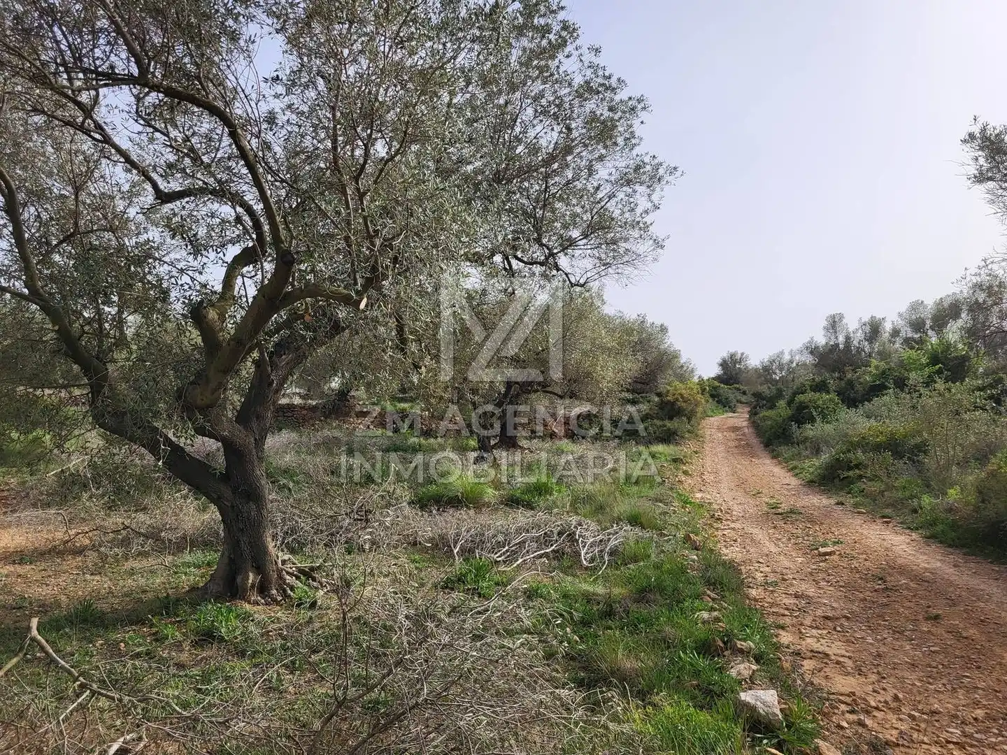 Terreno rustico in vendita a Corral de la Culla, imagen 10
