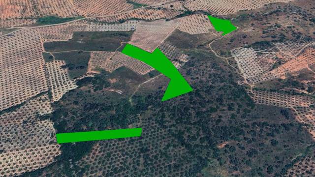 Terreno en Venta en C/ Mimbrera en Chiclana de Segura