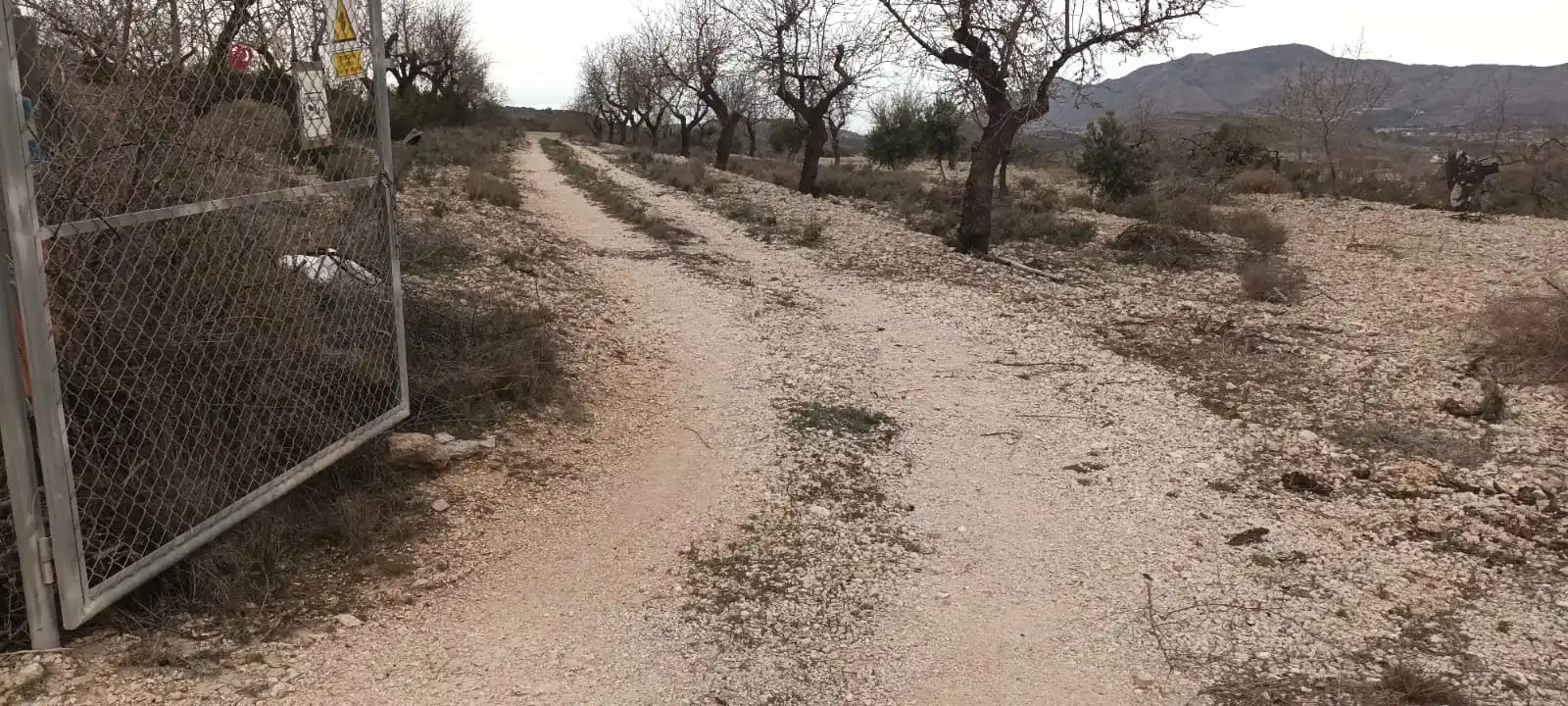 Terreno rustico in vendita a Calle Hondon de las Nieves, imagen 4
