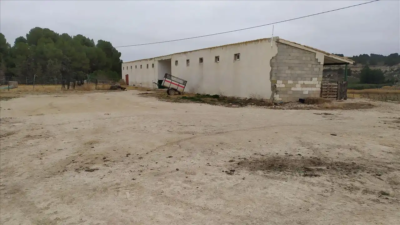 Einzigartige Immobilien zum Verkauf in Polígono 166, imagen 7