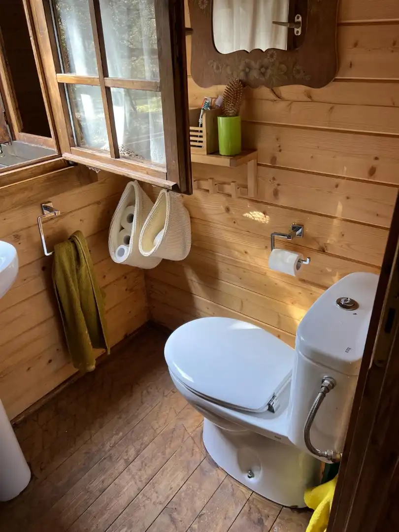 Baño de Terreno en venta en Almendral de la Cañada, Toledo