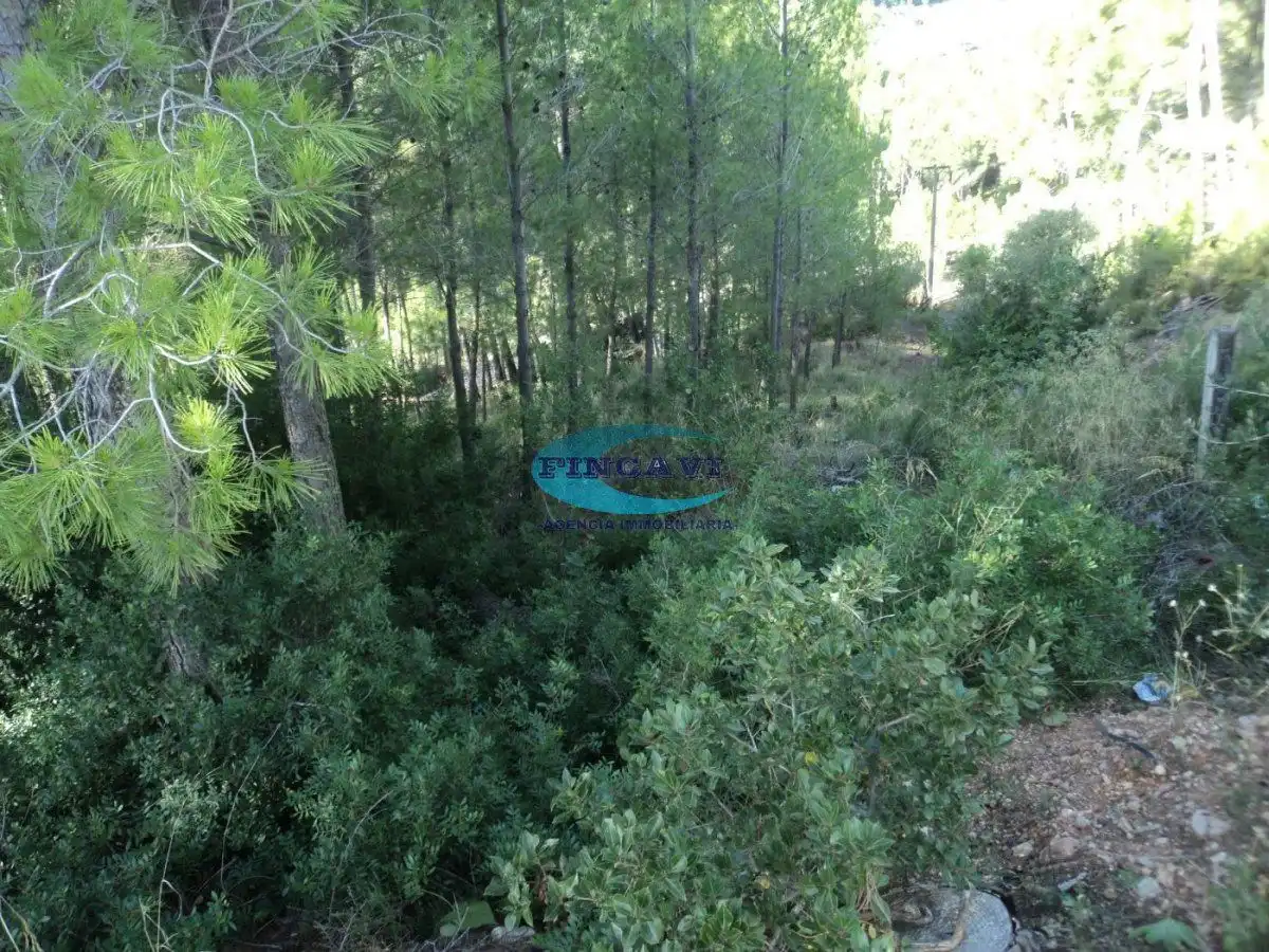 Lands and plots for sale in Bigues i Riells del Fai