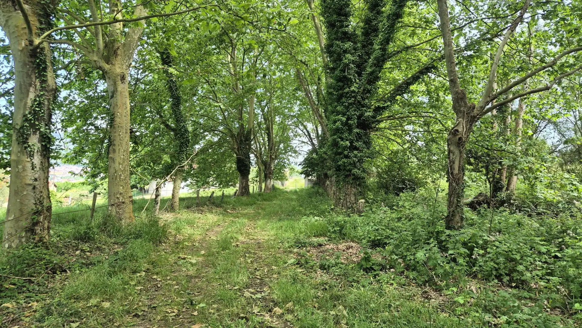 Maison avec jardin à vendre à Parroquias Sur - La Manjoya, imagen 15