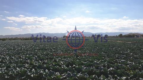 Foto 2 de Residencial en venda a N/a, -1, Tercia, Lorca