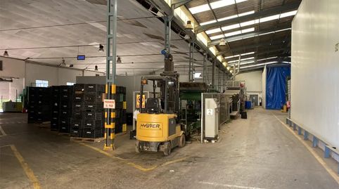 Foto 4 von Fabrikhallen zur Miete in Vereda de las Palmeras, 24, Los Ramos, Murcia Capital