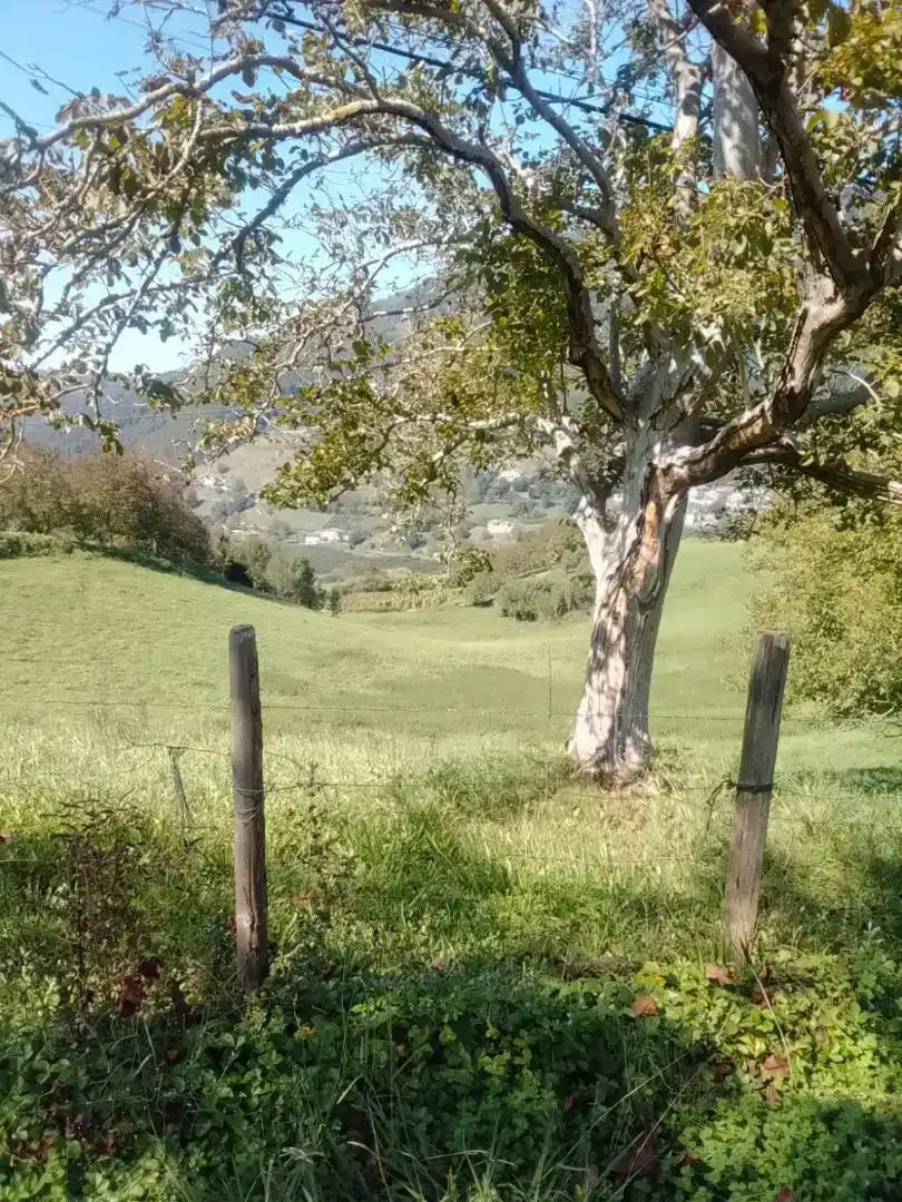 Vista exterior de Finca rústica en venda en Errezil amb Jardí privat, Traster i Moblat