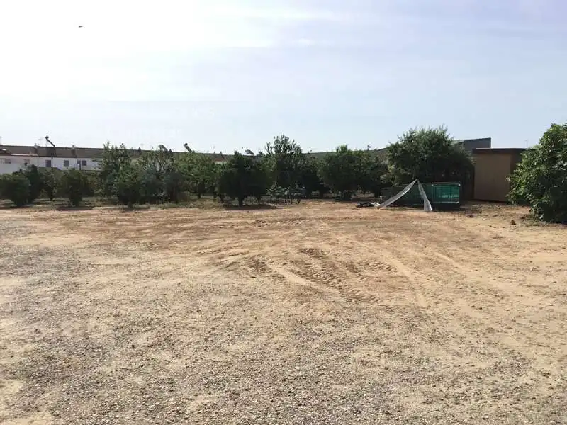 Terreni e lotti in vendita a Olivares, imagen 4