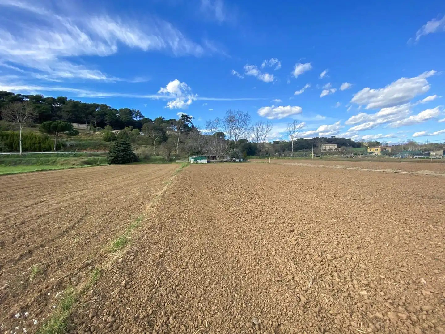 Terreny rústic en venda a carretera de valldoriolf 8, imagen 14