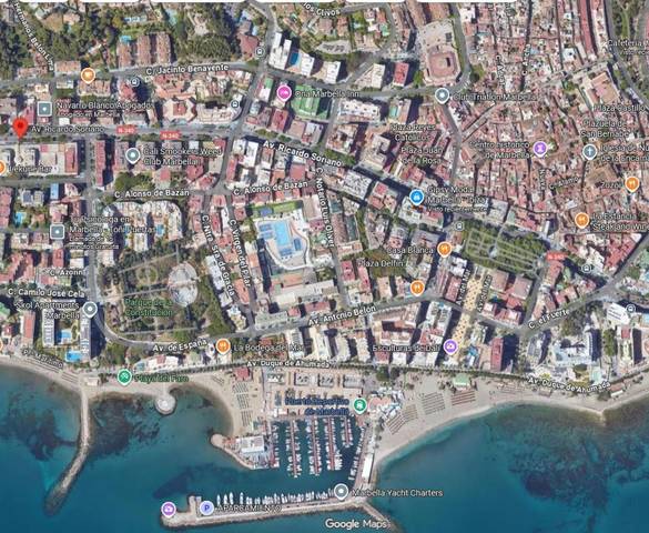 Local comercial en Alquiler en Avenida Ricardo Soriano en Ricardo Soriano