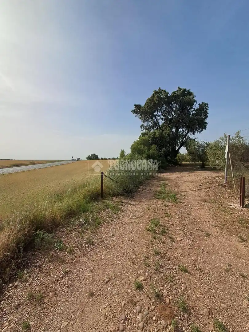 Terreno rustico in vendita a Carmona, imagen 18