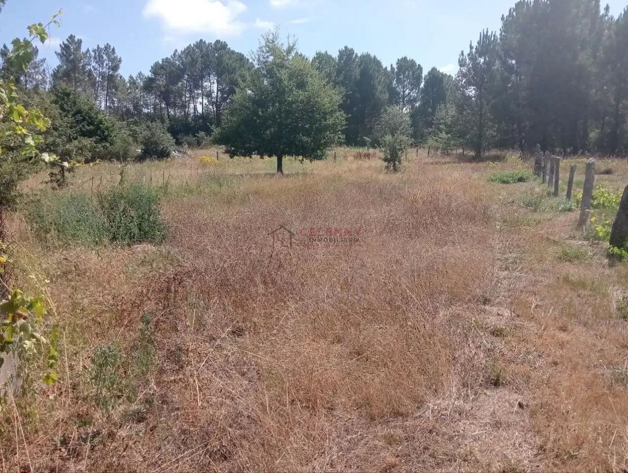 Terreni e lotti in vendita a San Cibrao das Viñas, imagen 8