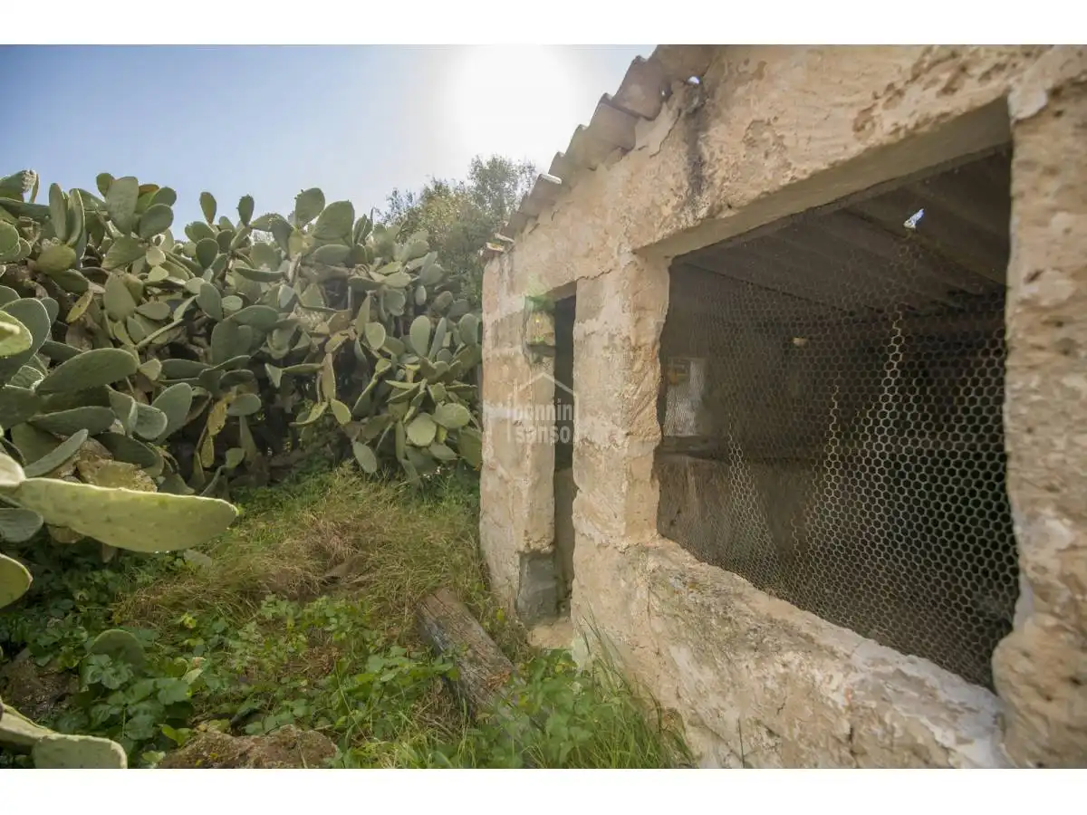 Landhaus mit Garten zum Verkauf in Alaior poble, imagen 53