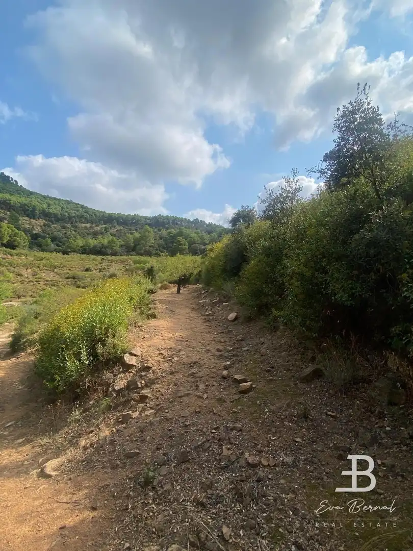 Terreny rústic en venda a Alforja, imagen 17