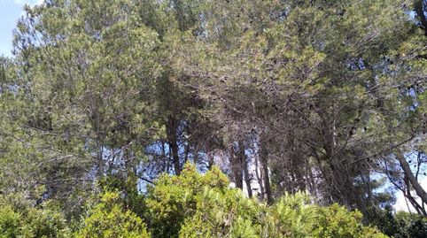 Photo 2 of Residential for sale in Urb Penyal Dels Toçals, 1, Potries, Valencia