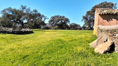 Foto 3 de Terreno en venta en Calle Virgen Puerto, Miralvalle - Av. Virgen del Puerto - La Data, Plasencia