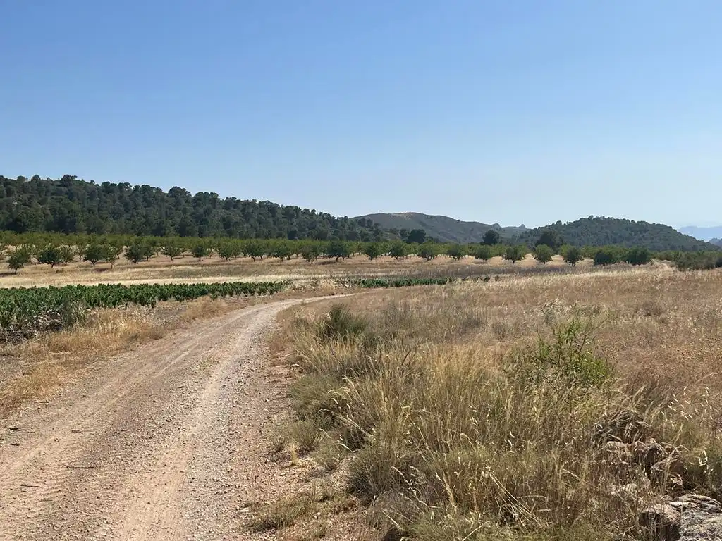 Terreny en venda en Hellín