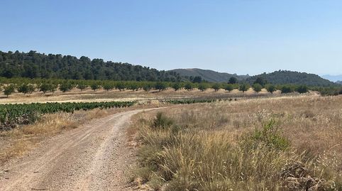 Photo 3 of Land for sale in Hellín, Albacete