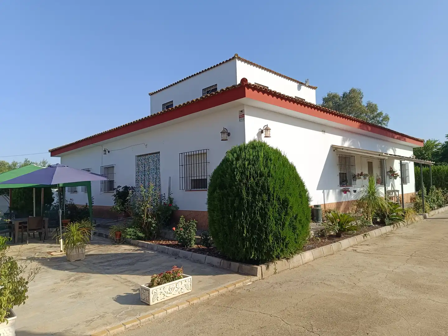 Vista exterior de Casa o xalet en venda en Carmona amb Aire condicionat, Jardí privat i Terrassa