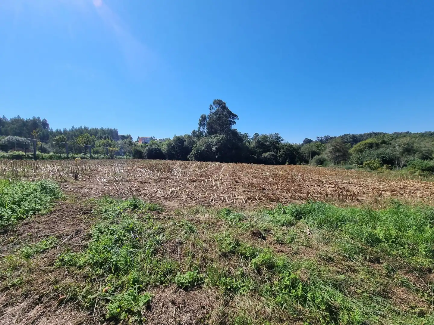 Terreni e lotti in vendita a Vilarmaior, imagen 15