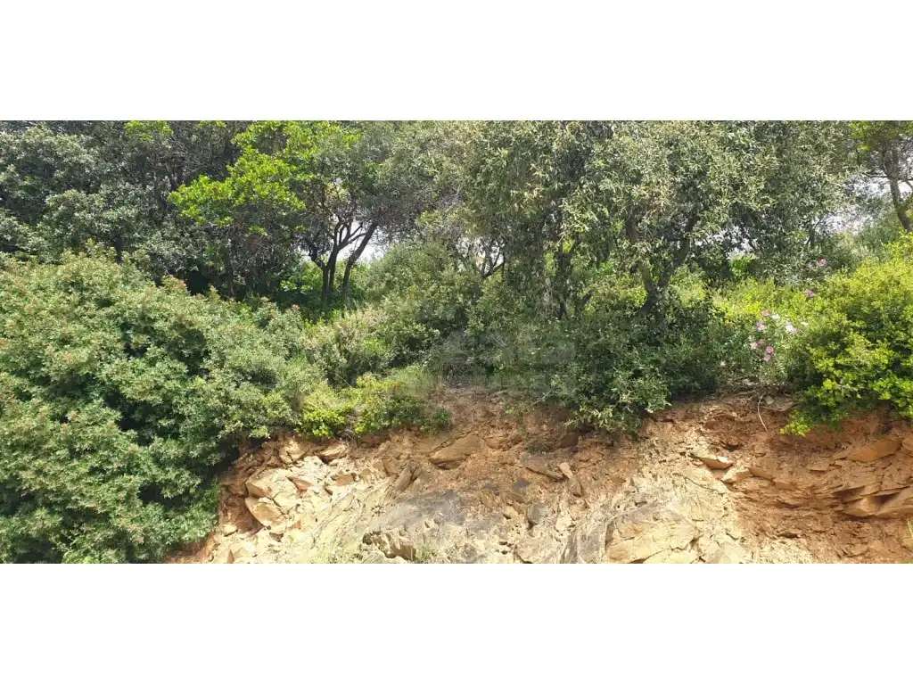 Terreny residencial en venda a Sa Riera - Sa Fontansa, imagen 4