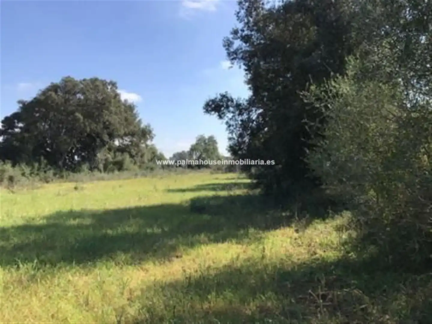 Wohnbaugrundstück zum Verkauf in Llubí, imagen 16